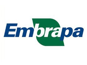 Embrapa