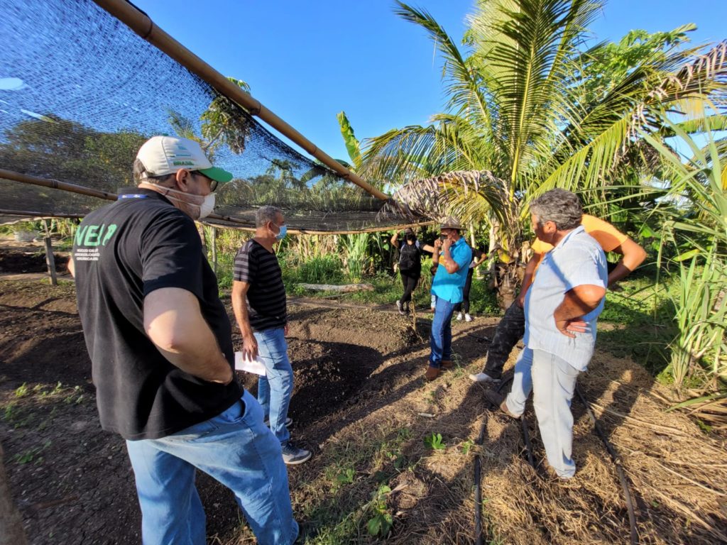 Projeto fomenta o processo de certificação orgânica junto aos pequenos agricultores da região