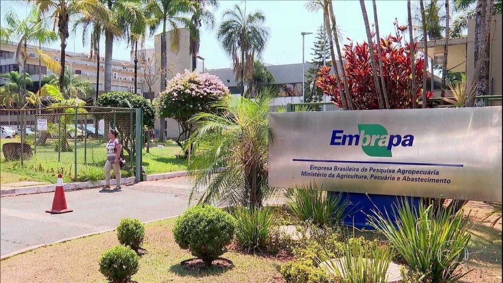 21 pesquisadores da Embrapa estão entre os mais citados do mundo