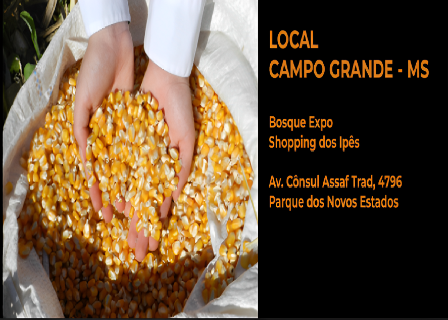 XVII Seminário Nacional de Milho Safrinha será realizado pela primeira vez em Campo Grande