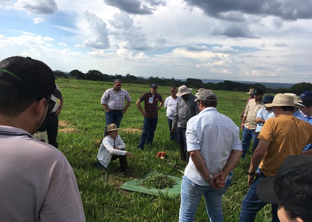 Ainda há vagas para o Curso de Pastagens, edição 2023