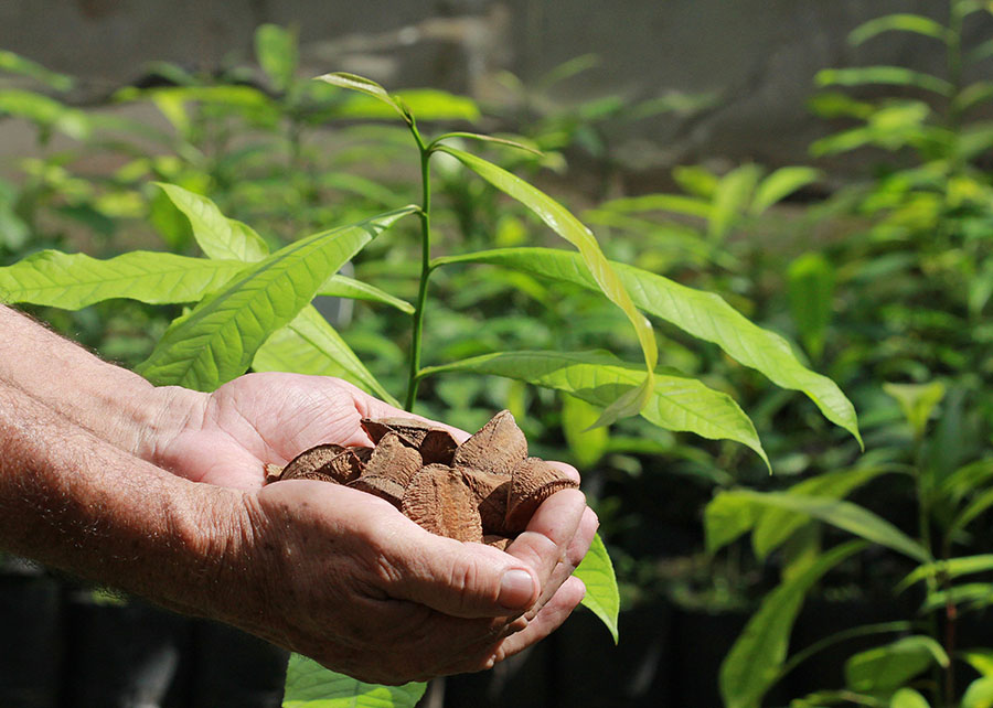 Unidade da Embrapa entra em roteiro do AgroBrazil 2023