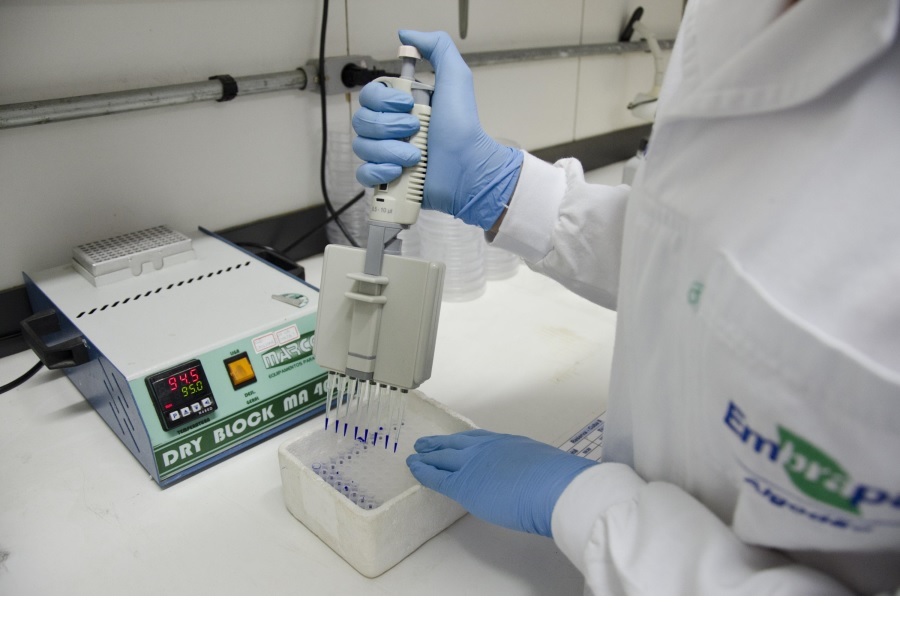 Novo ranking da Elsevier tem 22 pesquisadores da Embrapa