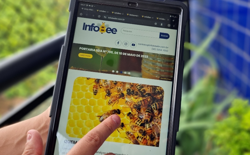 Tecnologias digitais para as cadeias do mel e do açaí são apresentadas no Amapá
