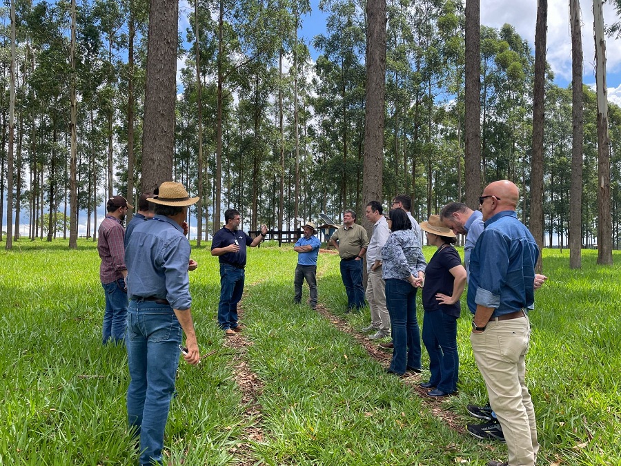 Embrapa inicia execução de projeto inédito em apoio à agricultura de baixa emissão de carbono