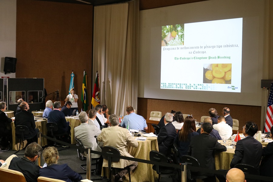 Programa da Embrapa,para melhoramento de pessegueiro é apresentado em evento mundial