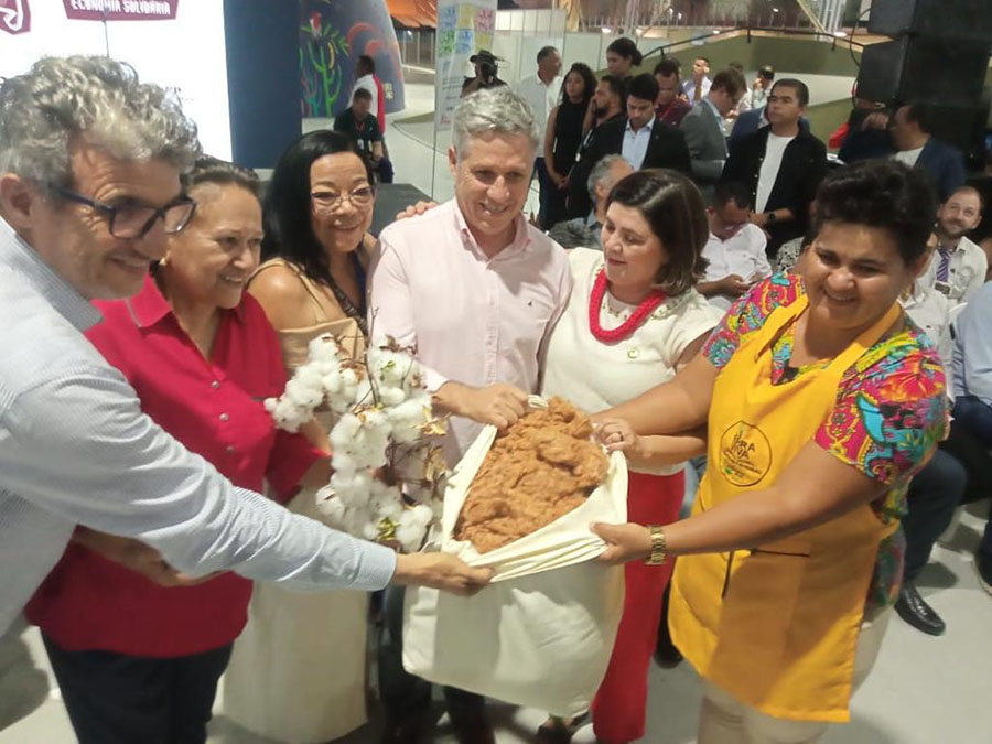 Lançado projeto para fortalecimento do algodão em consórcios agroecológicos no Semiárido