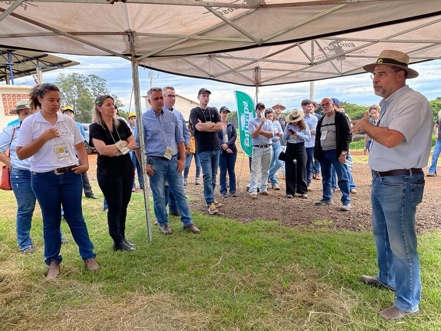 Especialistas demonstram vantagens dos sistemas ILPF