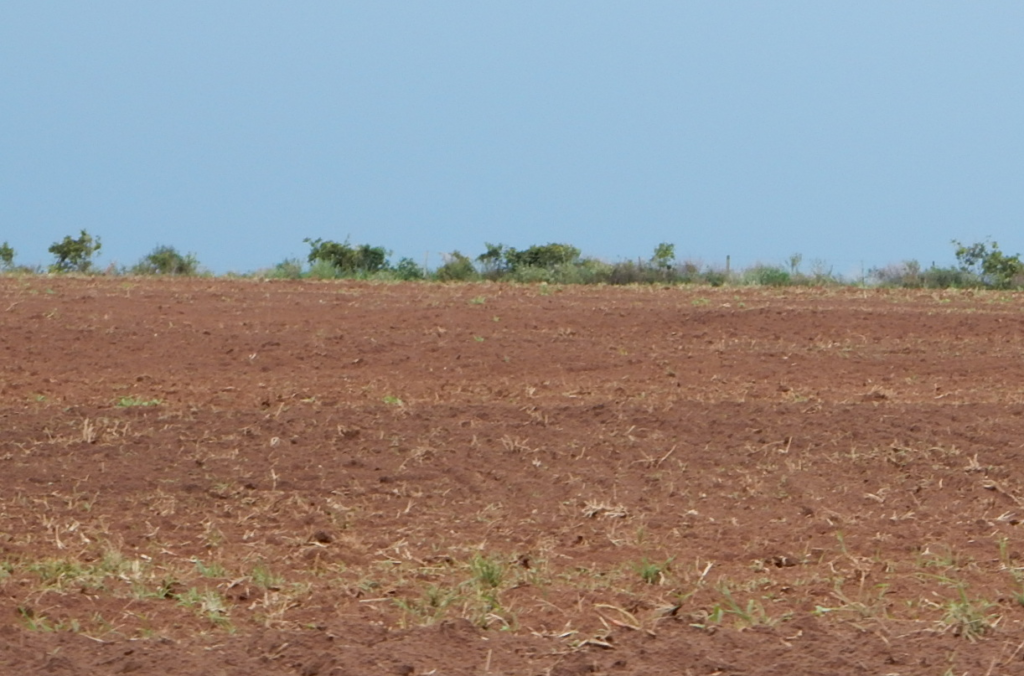 Pesquisa propõe método eficiente de amostragem de solos agrícolas para monitoramento do Carbono
