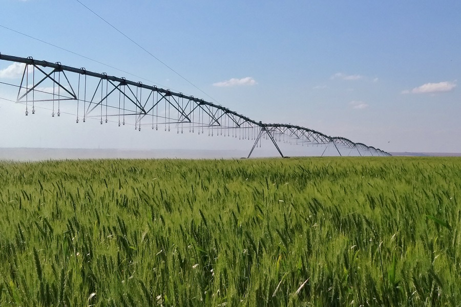 Seminário Técnico sobre Manejo de Trigo Tropical
