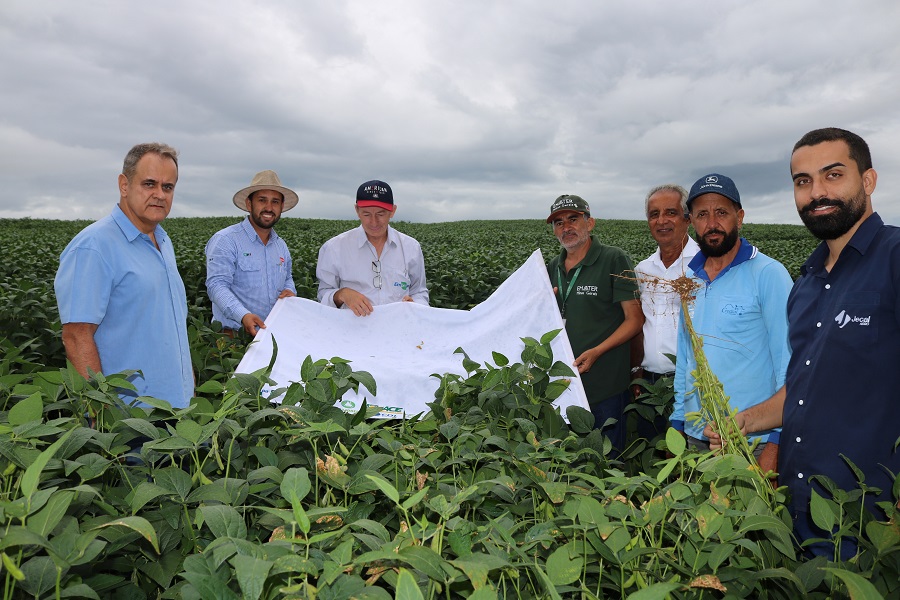 Manejo Integrado de Pragas traz sustentabilidade para a lavoura de soja