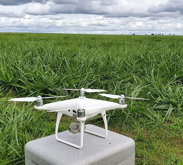 Sensores, processamento de imagens e IA são debatidos em painel sobre melhoramento vegetal