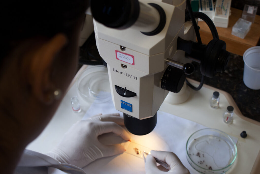 Tecnologias para gado de corte estão em maior feira para agricultura familiar do Estado