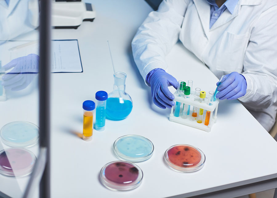 Uso de grupos de microrganismos é a nova fronteira em bioinsumos