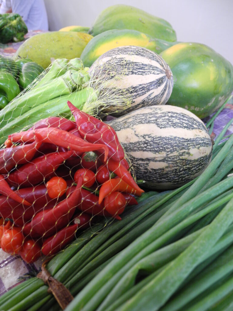 Embrapa Pantanal recebe “Feira de Produtos em Transição Agroecológica” nesta quarta