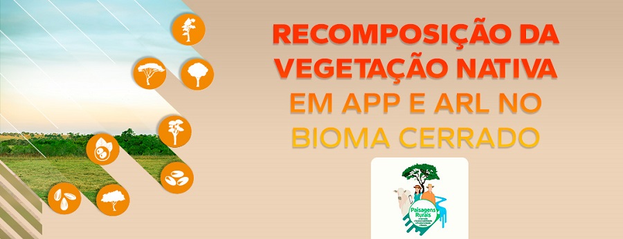 Serviço Florestal Brasileiro e Embrapa lançam curso sobre recomposição da vegetação nativa