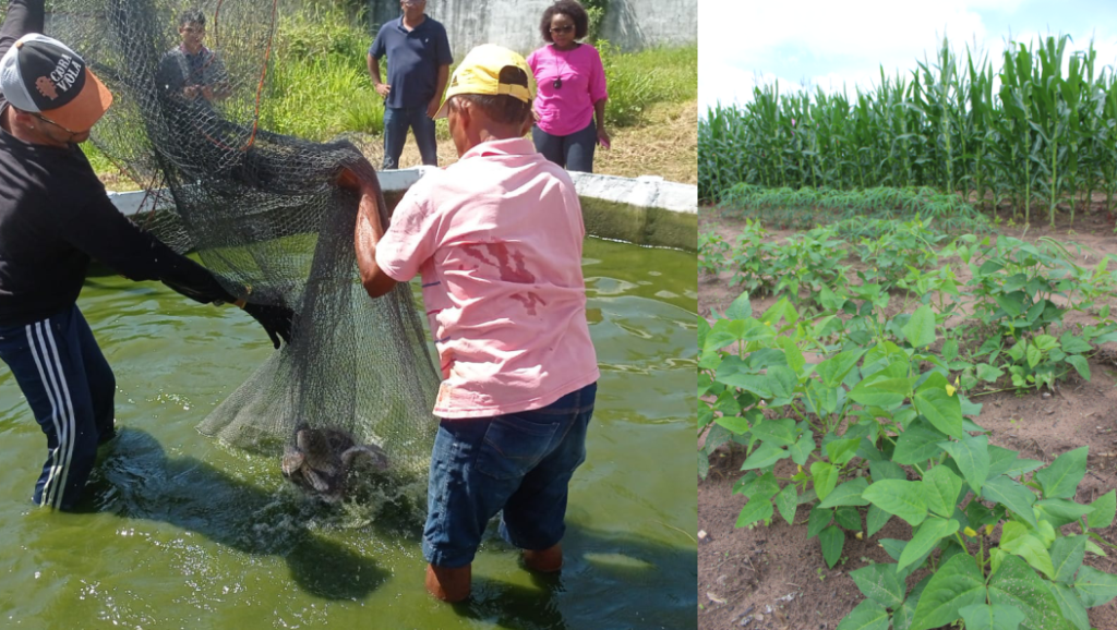 Embrapa participa da I Feira do Empreendedor Rural