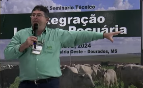 Rebanho de gado de corte diminui em MS, mas produção de carne aumenta