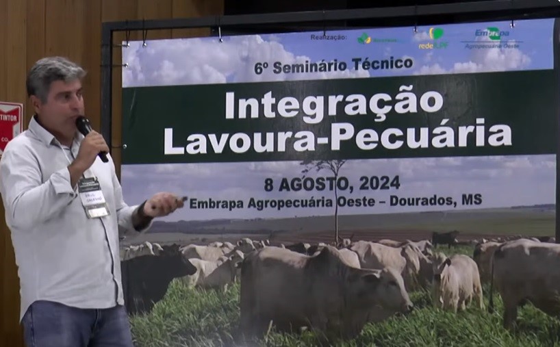 Produtor aprendeu a manejar estilosantes em solo arenoso e colhe benefícios no pasto