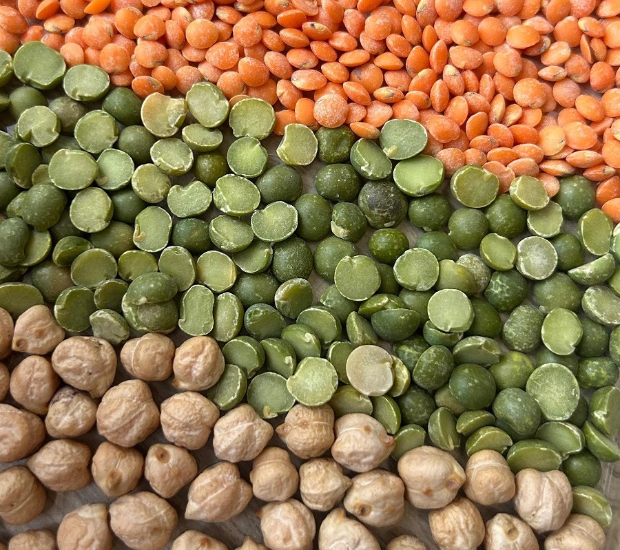 Inscrições abertas para o IV Seminário sobre Hortaliças Leguminosas