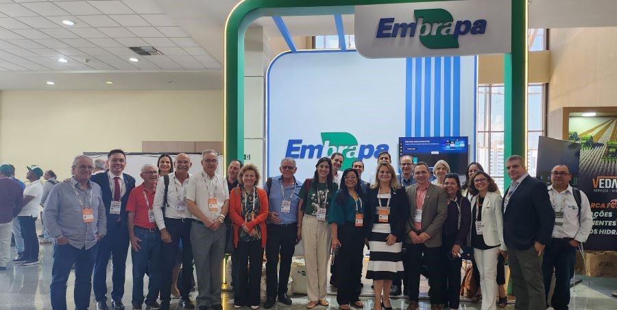 Inteligência artificial e sustentabilidade são destaques no Congresso Brasileiro do Algodão