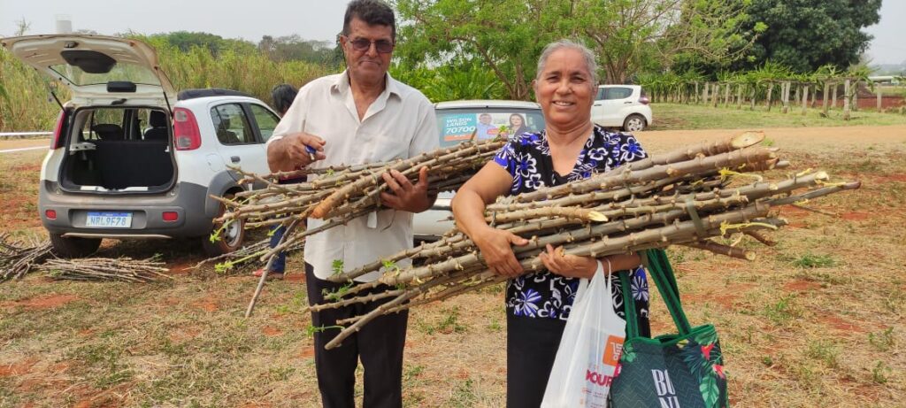 Dia de campo amplia conhecimentos sobre plantio de mandioca aos agricultores familiares