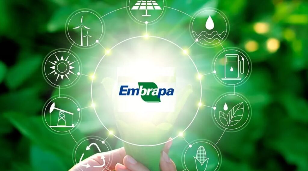 Urgente: Embrapa libera centenas de cursos gratuitos e online (EAD) com certificação garantida!