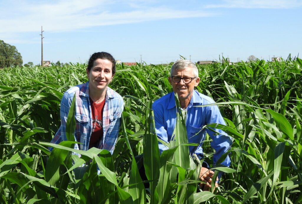 Sistema Diamantino tem pré-lançamento dia 29