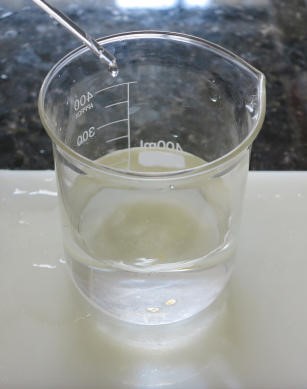 Embrapa Meio Ambiente analisa qualidade da água do rio Tocantins após queda de ponte