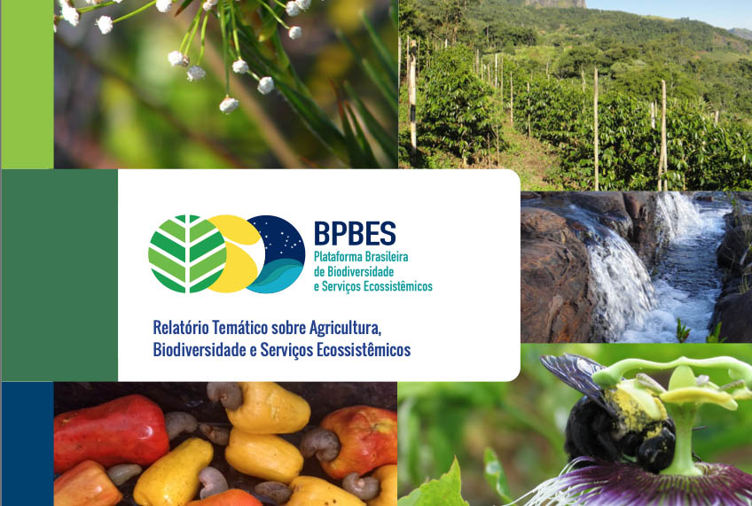 Plataforma brasileira publica Relatório de Biodiversidade e Serviços Ecossistêmicos