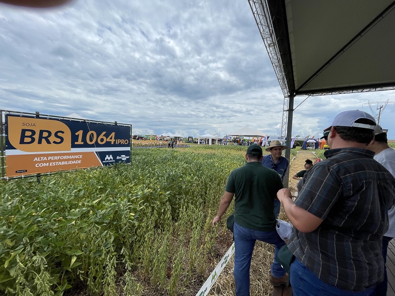 Soja altamente produtiva é destaque da Embrapa na Belasafra