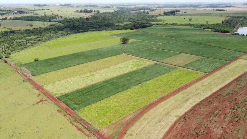 Embrapa Agropecuária Oeste comemora 30 anos de experimento em ILP e SPD