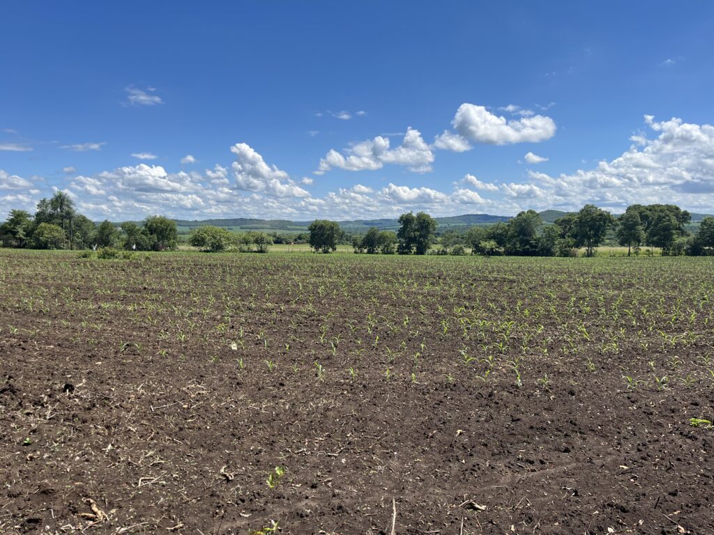 Integração de atividades agrícolas, pecuárias e florestais em assentamento de MS vai impulsionar uso de ferramentas digitais