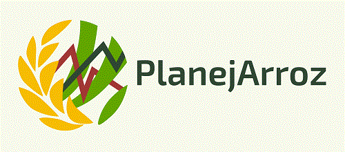 Embrapa e parceiros impulsionam inovação e sustentabilidade na Abertura da Colheita do Arroz