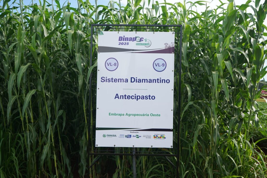 Embrapa Agropecuária Oeste destaca inovações na Dinapec 2025