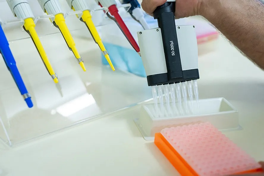 Painel debate papel das novas tecnologias na genética agrícola