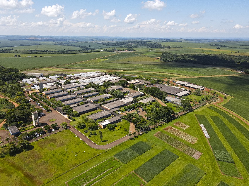 Embrapa Soja celebra 50 anos comemorando sucesso da soja no Brasil