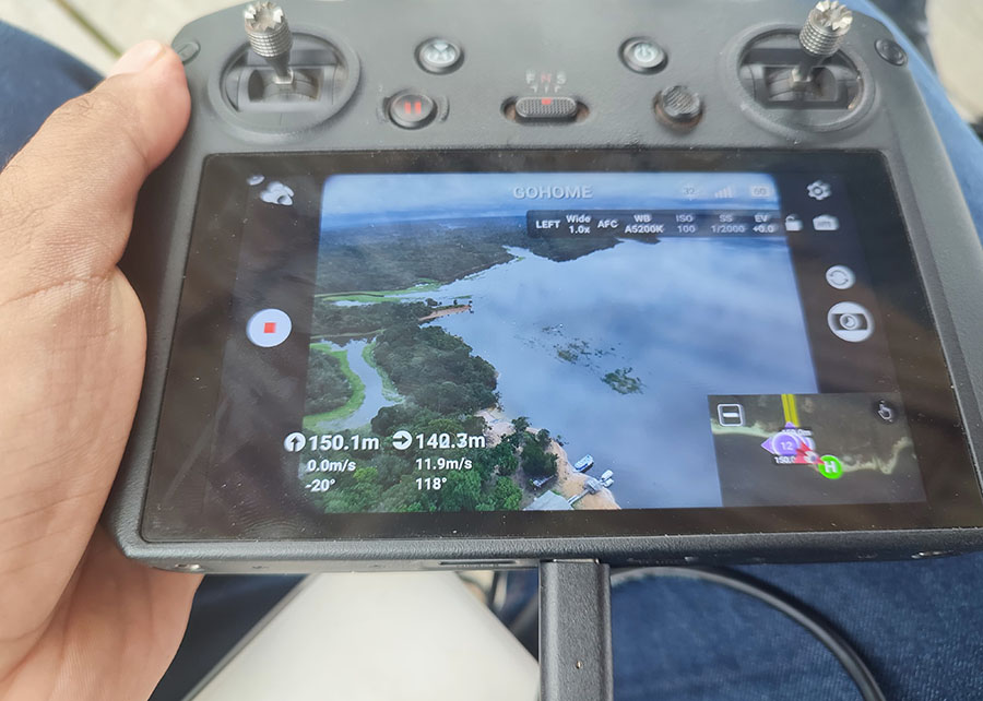 Inteligência artificial identifica mais de 600 castanheiras nativas em tempo recorde na Amazônia