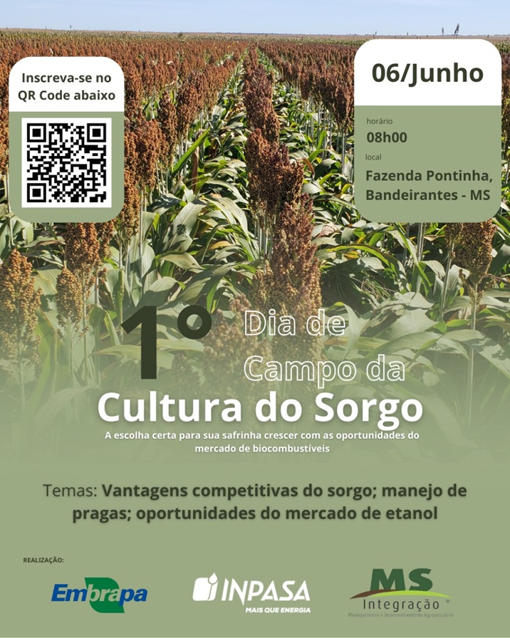 Dia de Campo do Sorgo em Bandeirantes, Mato Grosso do Sul, será dia 6 de junho
