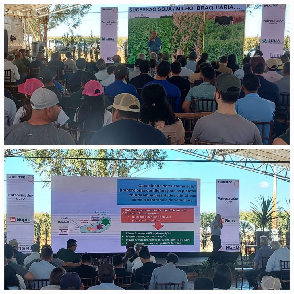 Embrapa apresenta soluções com milho, braquiária e manejo do solo para enfrentar a seca