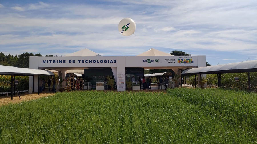 Embrapa apresenta cerca de cem tecnologias na AgroBrasília 2025
