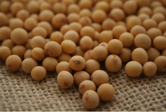 Desafios do dia a dia da soja terão destaque no Congresso Brasileiro de Soja