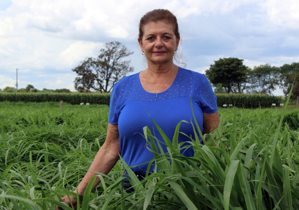 Pesquisadoras são reconhecidas por décadas dedicadas à Ciência