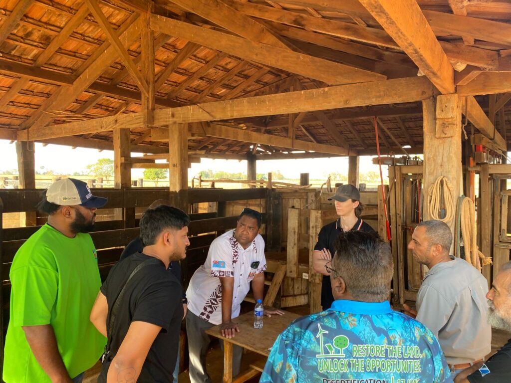 Missão agrícola de Fiji busca soluções em pecuária de corte