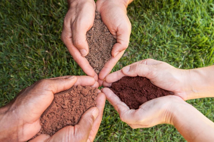 Plataforma Saúde do Solo BR será lançada na COP30, em Belém
