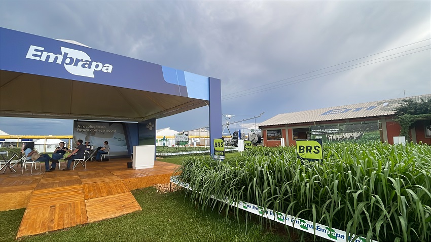 Inovações para o campo e lançamentos marcam presença da Embrapa no Show Rural