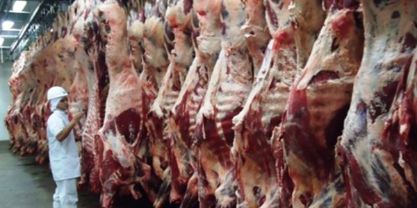 Exportações de carne bovina, soja, milho e ferro-gusa são destaque positivo na balança comercial de MS em janeiro