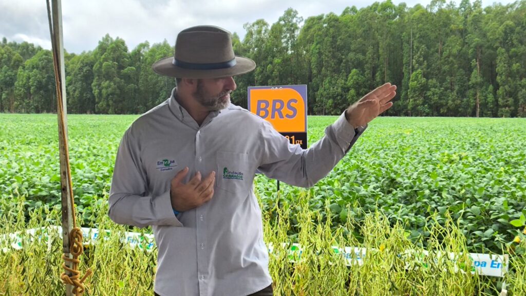 Embrapa apresenta variedades de soja de alto rendimento no Dia de Campo da Competição de Cultivares