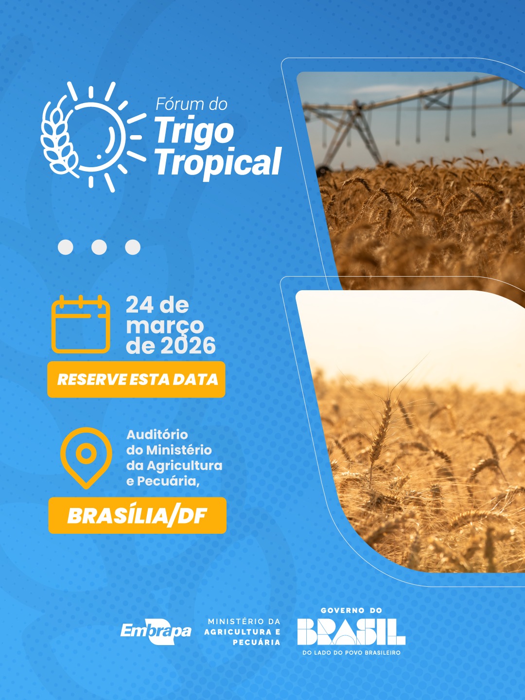 Fórum vai apresentar avanços no trigo tropical