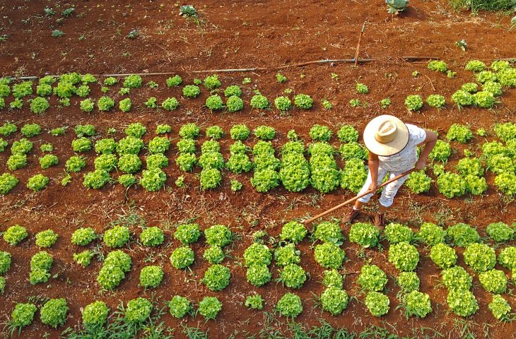 Agraer fortalece acesso ao crédito rural em projetos que abrem oportunidades a quem trabalha no campo